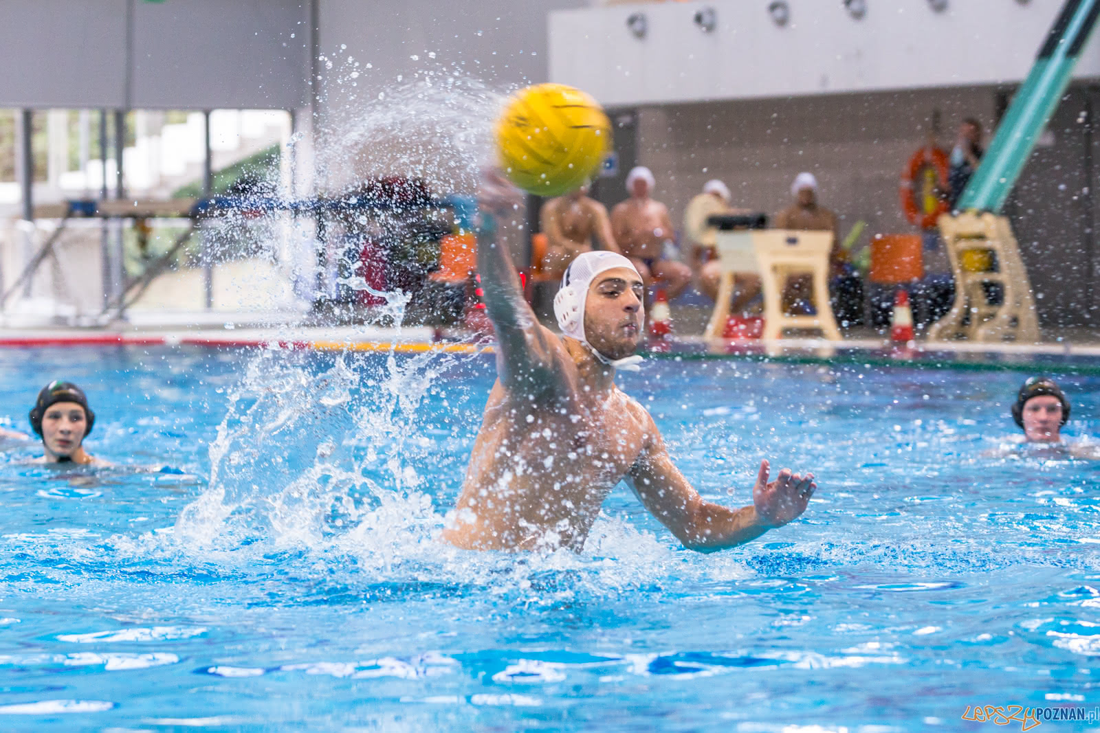 Waterpolo Poznań - Alfa Gorzów Foto: lepszyPOZNAN.pl/Piotr Rychter Waterpolo Poznań - Alfa Gorzów Foto: lepszyPOZNAN.pl/Piotr Rychter
