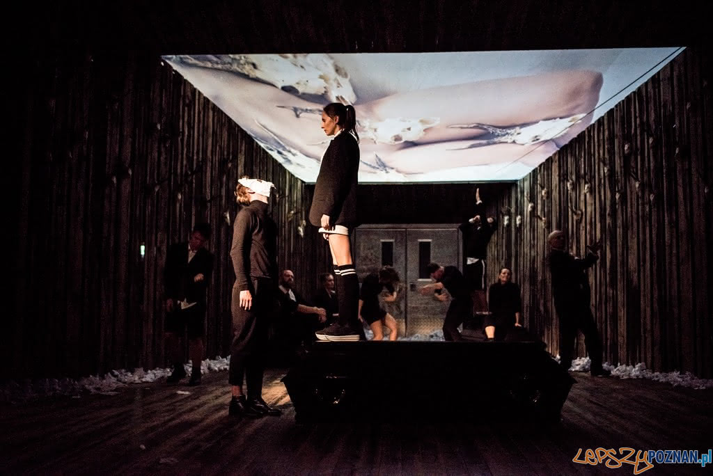 Ferdydurke w Teatrze Fredry w Gnieźnie Foto: Dawid Stube / materiały Teatru Fredry Ferdydurke w Teatrze Fredry w Gnieźnie Foto: Dawid Stube / materiały Teatru Fredry