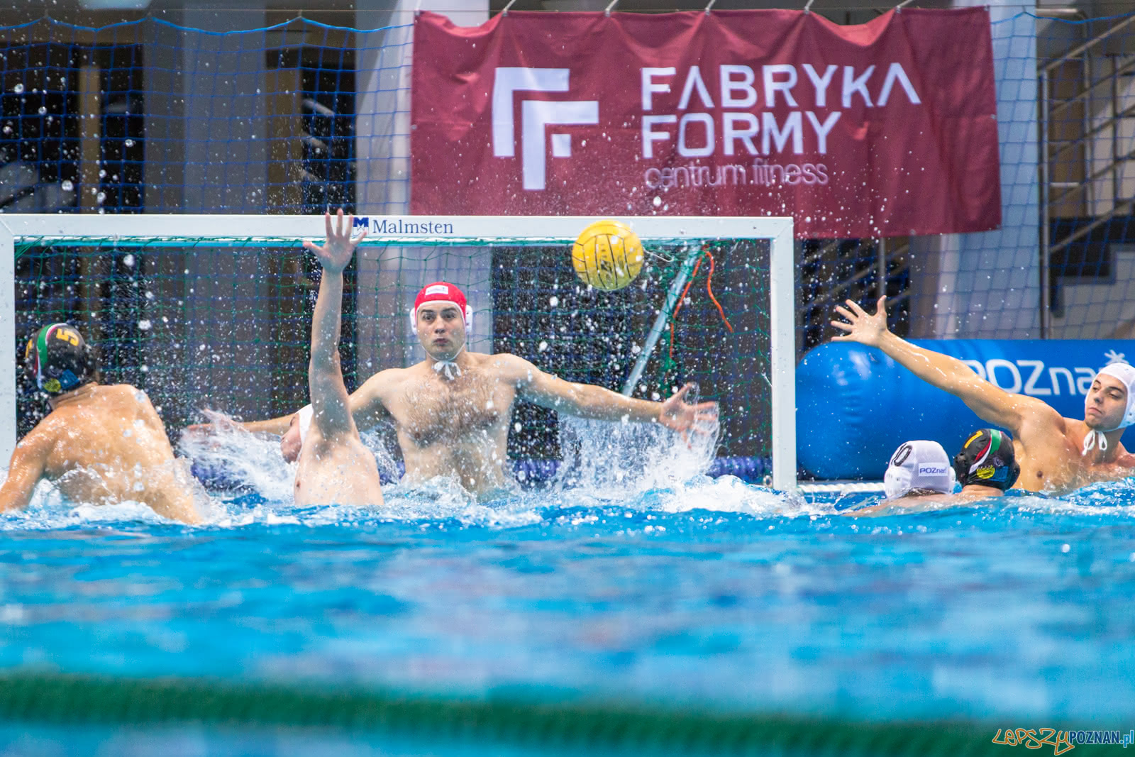 Waterpolo Poznań - Alfa Gorzów Foto: lepszyPOZNAN.pl/Piotr Rychter Waterpolo Poznań - Alfa Gorzów Foto: lepszyPOZNAN.pl/Piotr Rychter