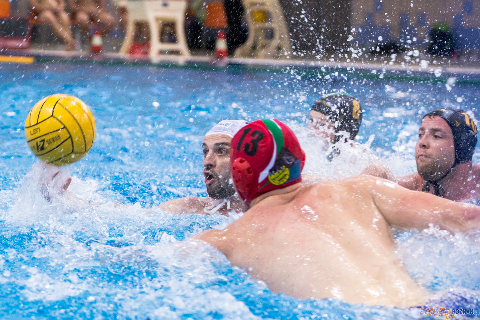 Waterpolo Poznań - Alfa Gorzów Foto: lepszyPOZNAN.pl/Piotr Rychter Waterpolo Poznań - Alfa Gorzów Foto: lepszyPOZNAN.pl/Piotr Rychter