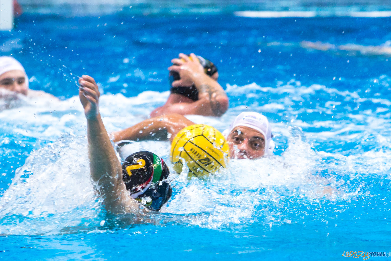 Waterpolo Poznań - Alfa Gorzów Foto: lepszyPOZNAN.pl/Piotr Rychter Waterpolo Poznań - Alfa Gorzów Foto: lepszyPOZNAN.pl/Piotr Rychter