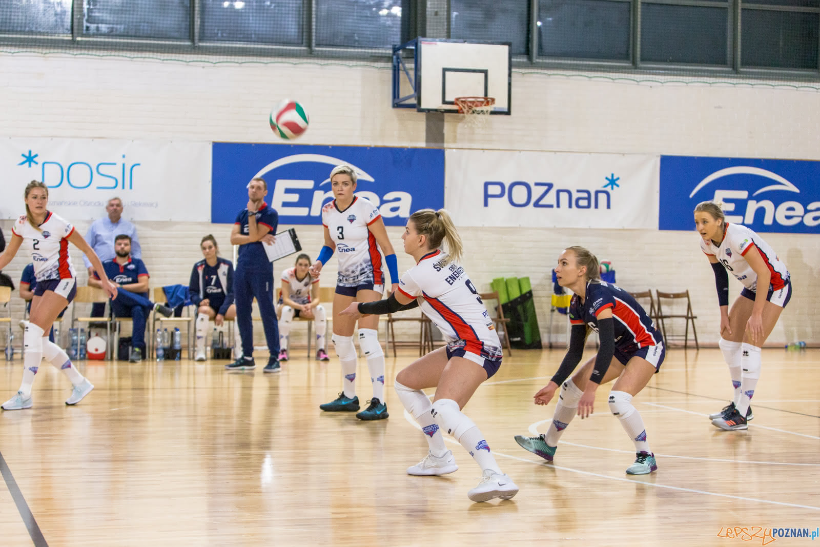 Enea Energetyk Poznań - Uni Opole Foto: lepszyPOZNAN.pl/Piotr Rychter Enea Energetyk Poznań - Uni Opole Foto: lepszyPOZNAN.pl/Piotr Rychter