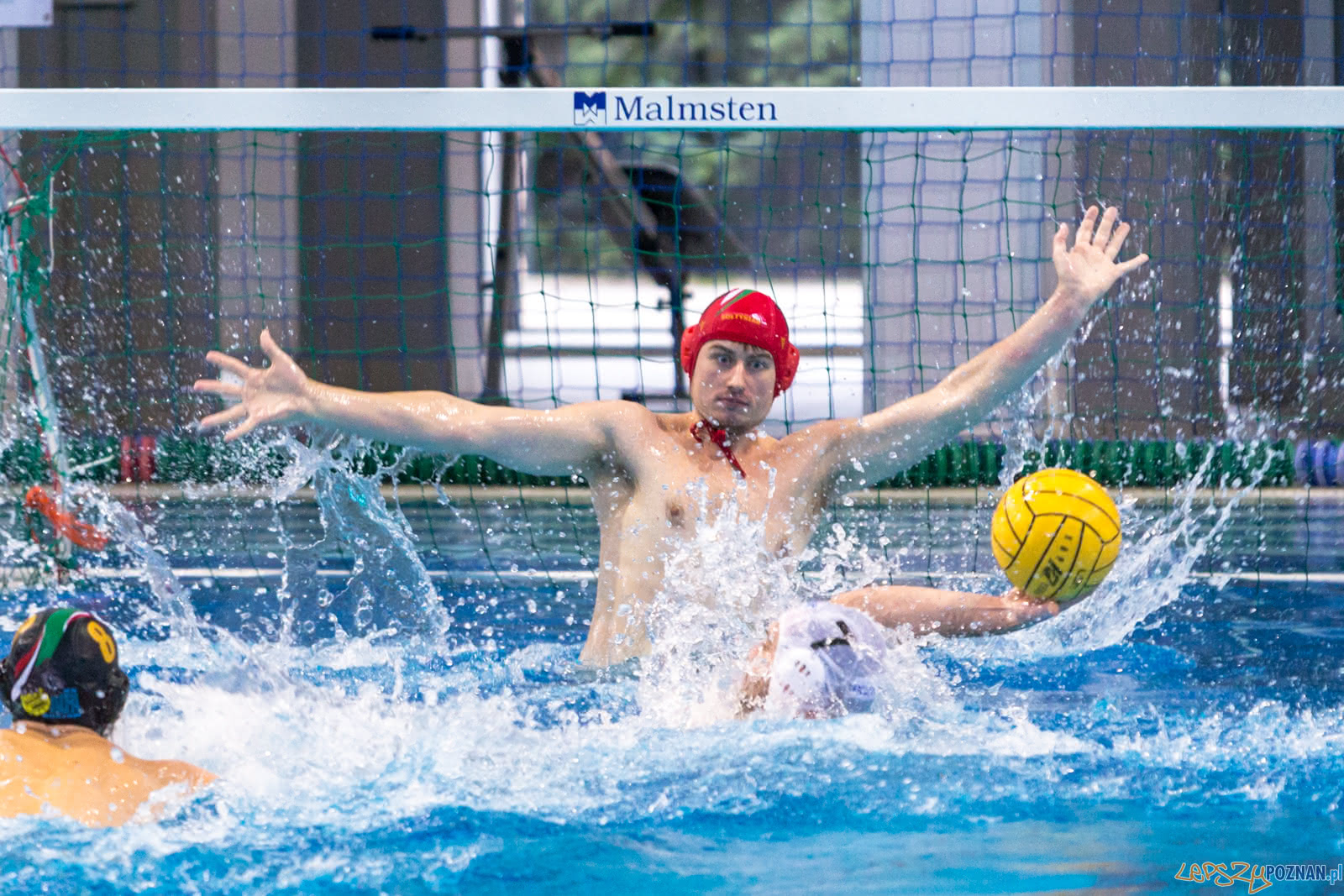 Waterpolo Poznań - Alfa Gorzów Foto: lepszyPOZNAN.pl/Piotr Rychter Waterpolo Poznań - Alfa Gorzów Foto: lepszyPOZNAN.pl/Piotr Rychter
