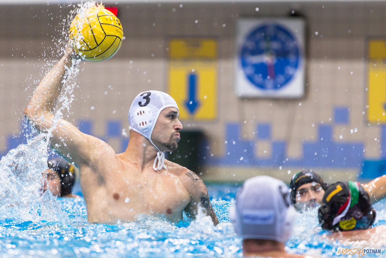Waterpolo Poznań - Alfa Gorzów Foto: lepszyPOZNAN.pl/Piotr Rychter Waterpolo Poznań - Alfa Gorzów Foto: lepszyPOZNAN.pl/Piotr Rychter