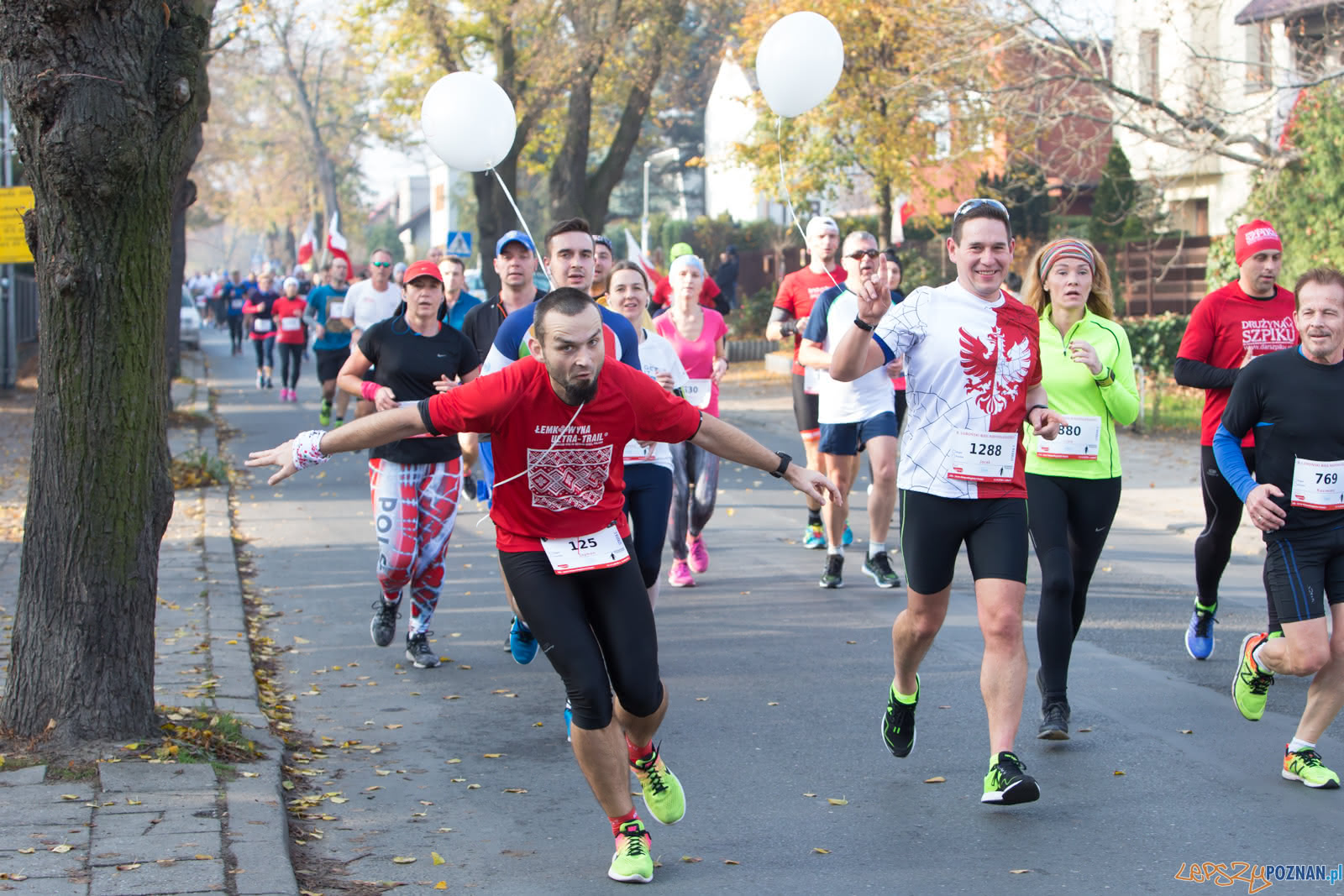 8. Lubonski Bieg Niepodleglosci Foto: lepszyPOZNAN.pl/Piotr Rychter 8. Lubonski Bieg Niepodleglosci Foto: lepszyPOZNAN.pl/Piotr Rychter