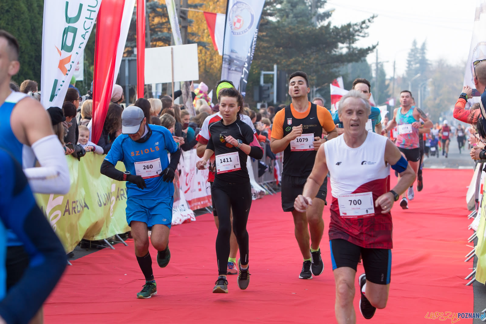 8. Lubonski Bieg Niepodleglosci Foto: lepszyPOZNAN.pl/Piotr Rychter 8. Lubonski Bieg Niepodleglosci Foto: lepszyPOZNAN.pl/Piotr Rychter