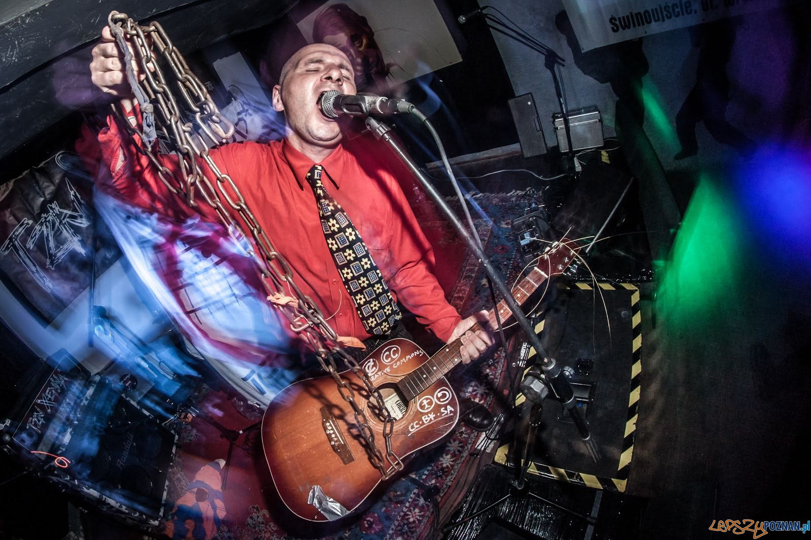 Patyczak - foto wilku (2) Foto: Patyczak - foto wilku (2) Foto: