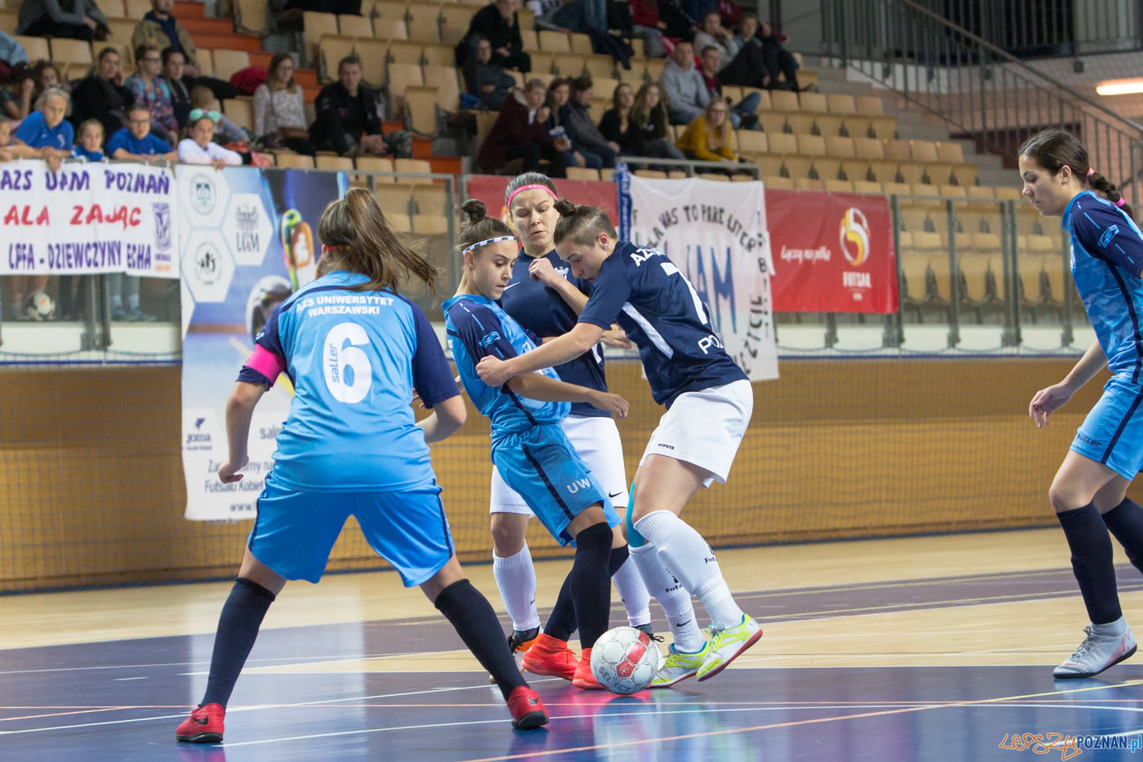 AZS UAM Poznań - AZS Uniwersytet Warszawski Foto: lepszyPOZNAN.pl/Piotr Rychter AZS UAM Poznań - AZS Uniwersytet Warszawski Foto: lepszyPOZNAN.pl/Piotr Rychter