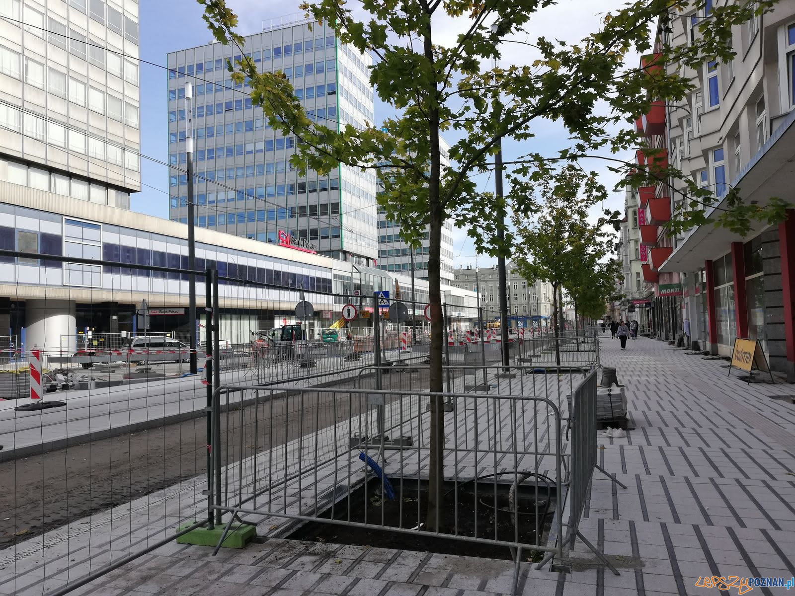 Św. Marcin - prace remontowe Foto: Tomasz Dworek Św. Marcin - prace remontowe Foto: Tomasz Dworek