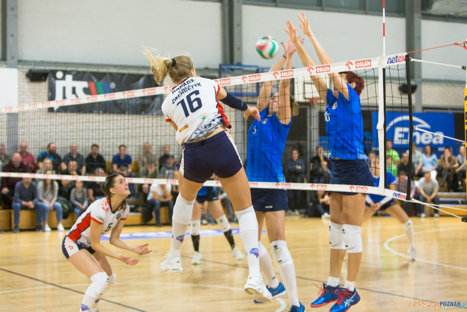 Enea Energetyk Poznań - MKS Dąbrowa Górnicza Foto: lepszyPOZNAN.pl/Piotr Rychter Enea Energetyk Poznań - MKS Dąbrowa Górnicza Foto: lepszyPOZNAN.pl/Piotr Rychter