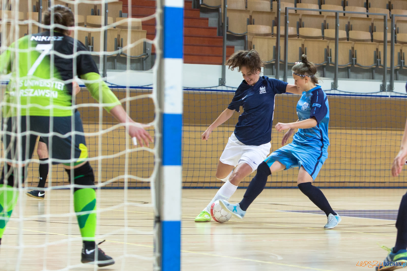 AZS UAM Poznań - AZS Uniwersytet Warszawski Foto: lepszyPOZNAN.pl/Piotr Rychter AZS UAM Poznań - AZS Uniwersytet Warszawski Foto: lepszyPOZNAN.pl/Piotr Rychter