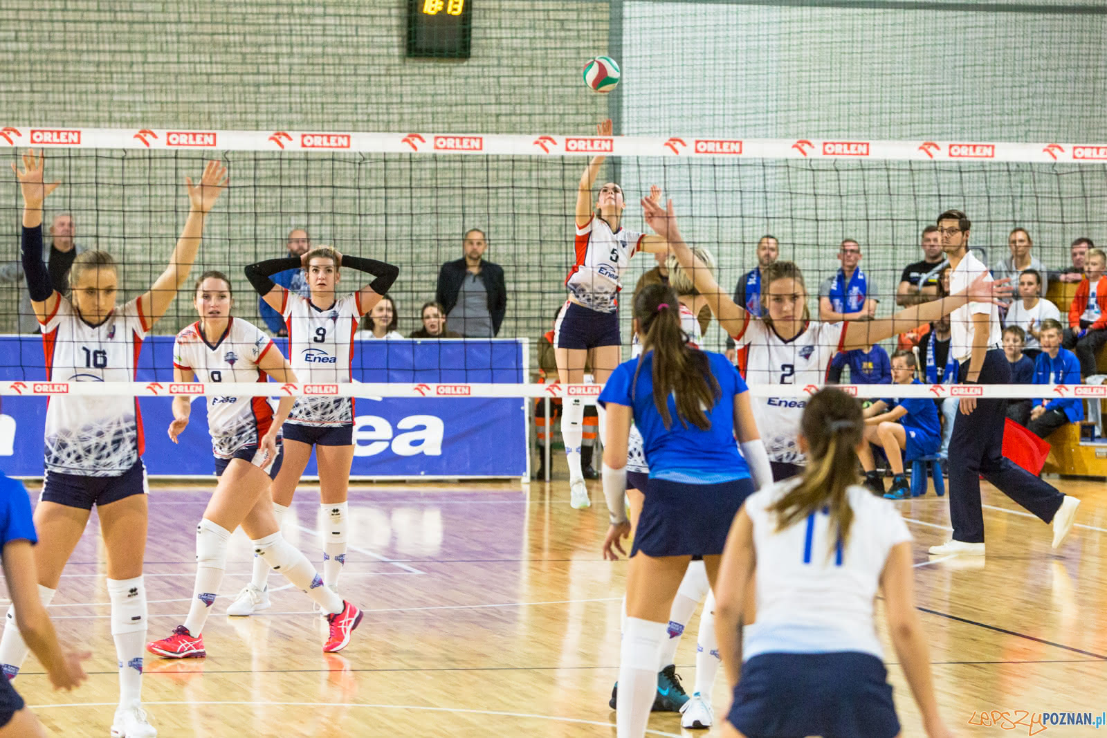 Enea Energetyk Poznań - MKS Dąbrowa Górnicza Foto: lepszyPOZNAN.pl/Piotr Rychter Enea Energetyk Poznań - MKS Dąbrowa Górnicza Foto: lepszyPOZNAN.pl/Piotr Rychter