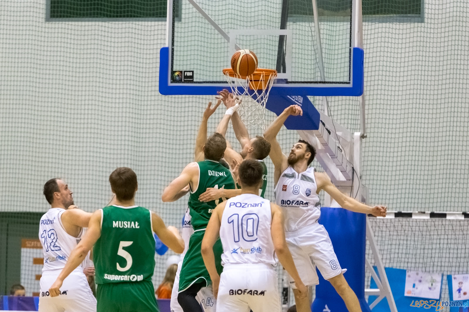 1 liga: Biofarm Basket Poznań - Śląsk Wrocław 70:79 - Pozna Foto: LepszyPOZNAN.pl / Paweł Rychter 1 liga: Biofarm Basket Poznań - Śląsk Wrocław 70:79 - Pozna Foto: LepszyPOZNAN.pl / Paweł Rychter