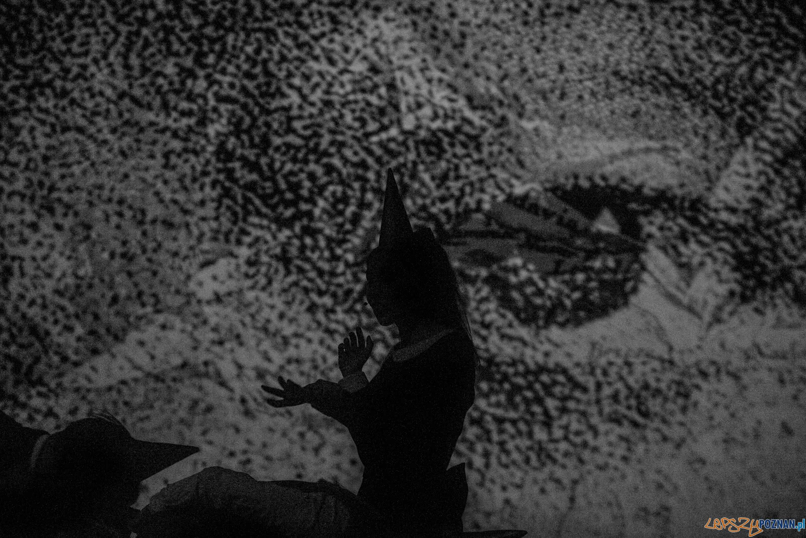 Frazy Festiwal słowa w piosence Foto: lepszyPOZNAN.pl / Ewelina Jaśkowiak Frazy Festiwal słowa w piosence Foto: lepszyPOZNAN.pl / Ewelina Jaśkowiak