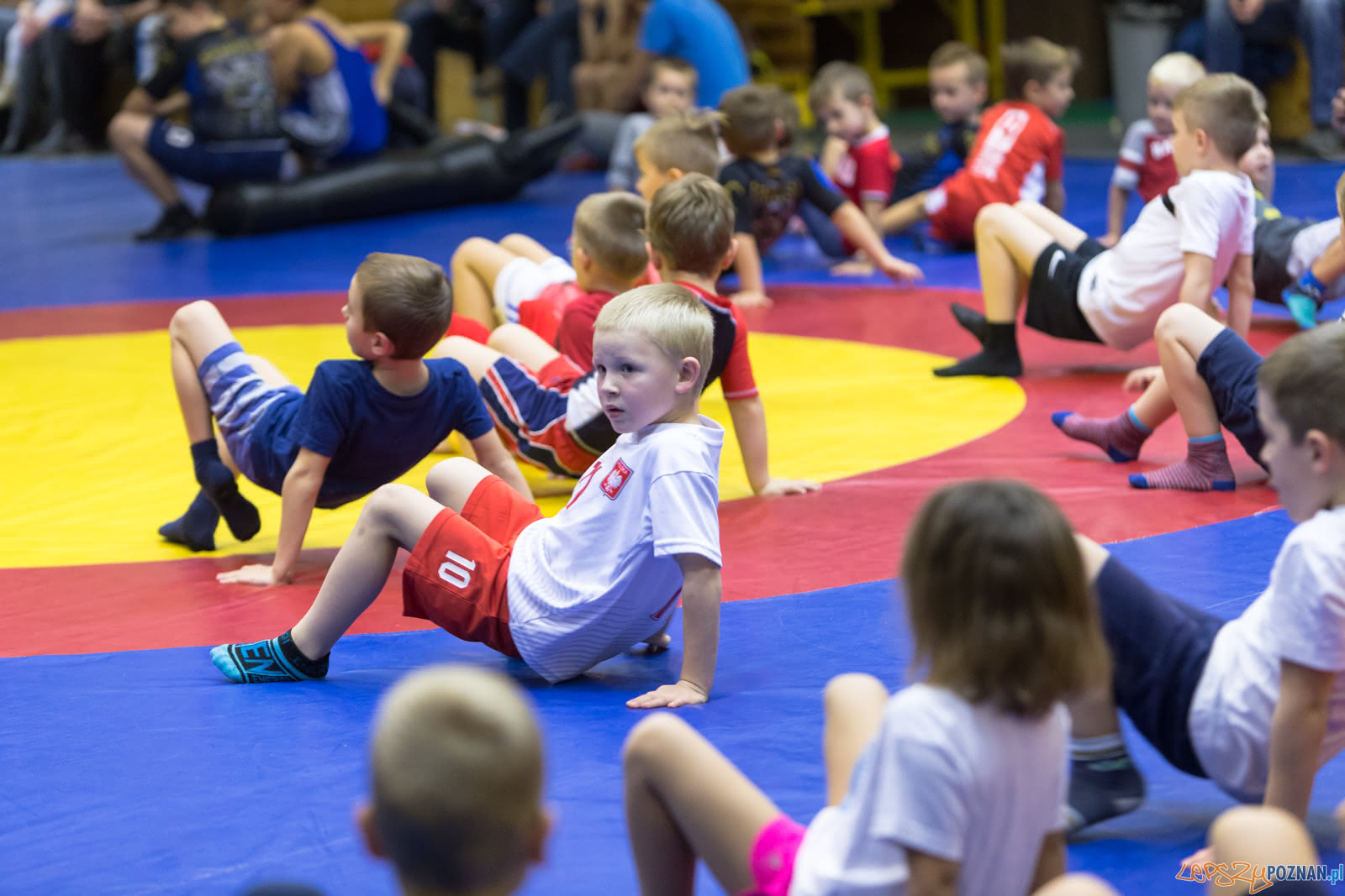 Turniej W Mocowaniu Dla Dzieci Foto: lepszyPOZNAN.pl/Piotr Rychter Turniej W Mocowaniu Dla Dzieci Foto: lepszyPOZNAN.pl/Piotr Rychter