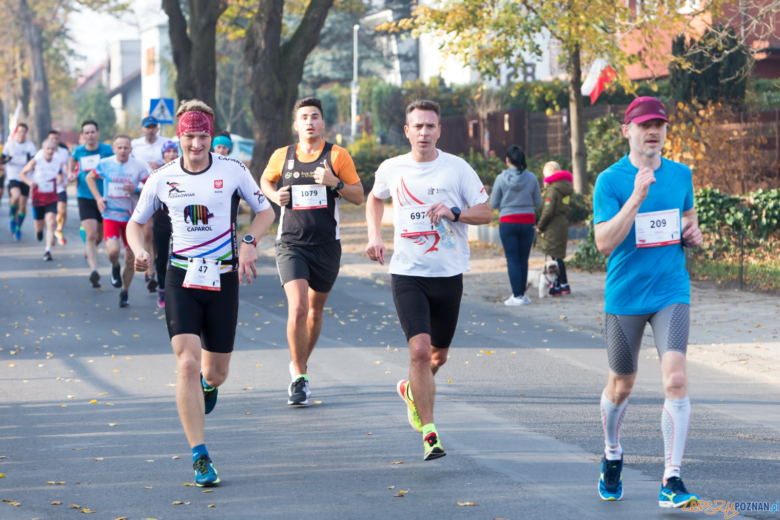 8. Lubonski Bieg Niepodleglosci Foto: lepszyPOZNAN.pl/Piotr Rychter 8. Lubonski Bieg Niepodleglosci Foto: lepszyPOZNAN.pl/Piotr Rychter