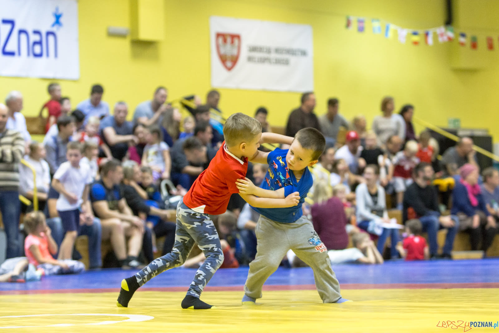Turniej W Mocowaniu Dla Dzieci Foto: lepszyPOZNAN.pl/Piotr Rychter Turniej W Mocowaniu Dla Dzieci Foto: lepszyPOZNAN.pl/Piotr Rychter