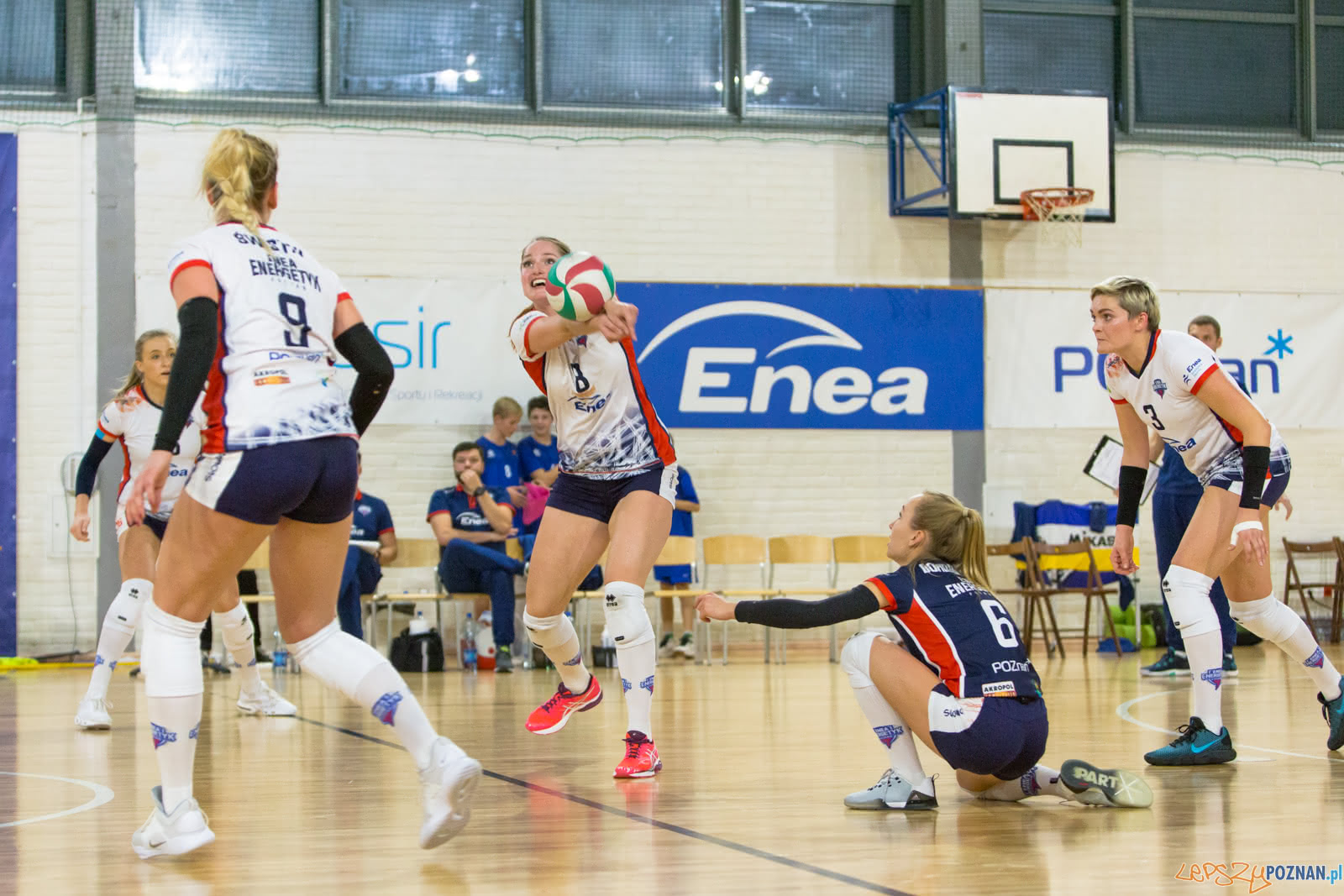 Enea Energetyk Poznań - MKS Dąbrowa Górnicza Foto: lepszyPOZNAN.pl/Piotr Rychter Enea Energetyk Poznań - MKS Dąbrowa Górnicza Foto: lepszyPOZNAN.pl/Piotr Rychter