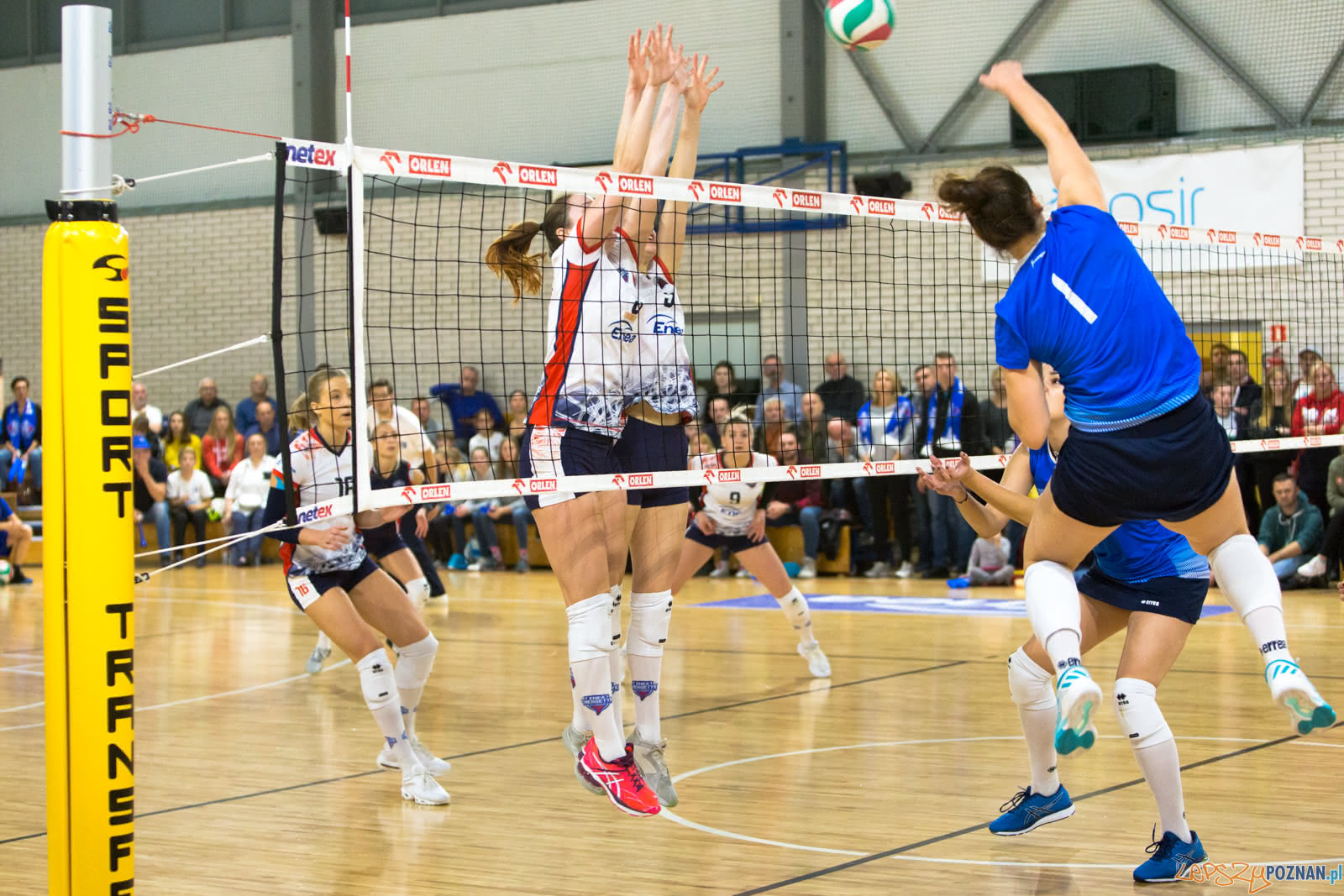 Enea Energetyk Poznań - MKS Dąbrowa Górnicza Foto: lepszyPOZNAN.pl/Piotr Rychter Enea Energetyk Poznań - MKS Dąbrowa Górnicza Foto: lepszyPOZNAN.pl/Piotr Rychter