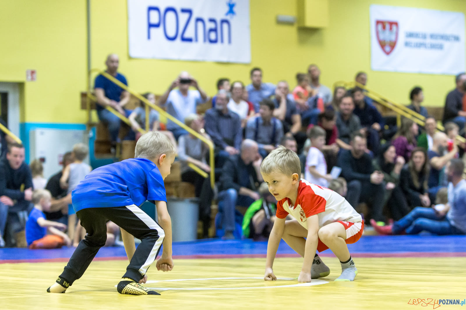 Turniej W Mocowaniu Dla Dzieci Foto: lepszyPOZNAN.pl/Piotr Rychter Turniej W Mocowaniu Dla Dzieci Foto: lepszyPOZNAN.pl/Piotr Rychter