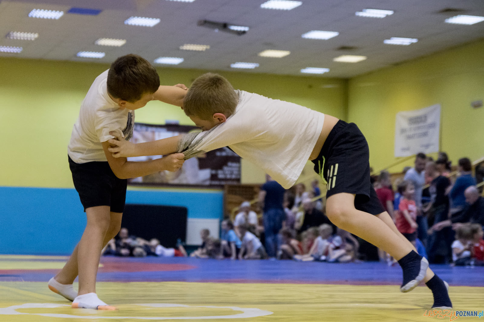 Turniej w mocowaniu dla dzieci Foto: lepszyPOZNAN.pl / Ewelina Jaśkowiak Turniej w mocowaniu dla dzieci Foto: lepszyPOZNAN.pl / Ewelina Jaśkowiak