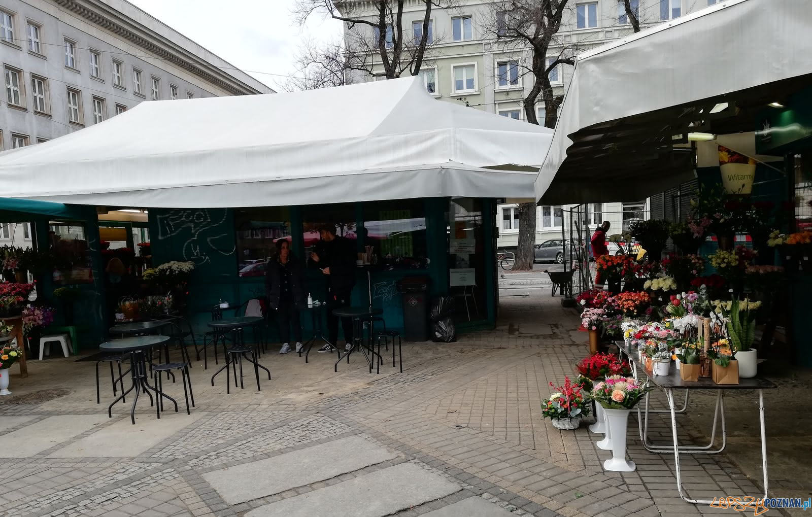 Pizzeria - Plac Wolności Foto: T. Dworek Pizzeria - Plac Wolności Foto: T. Dworek