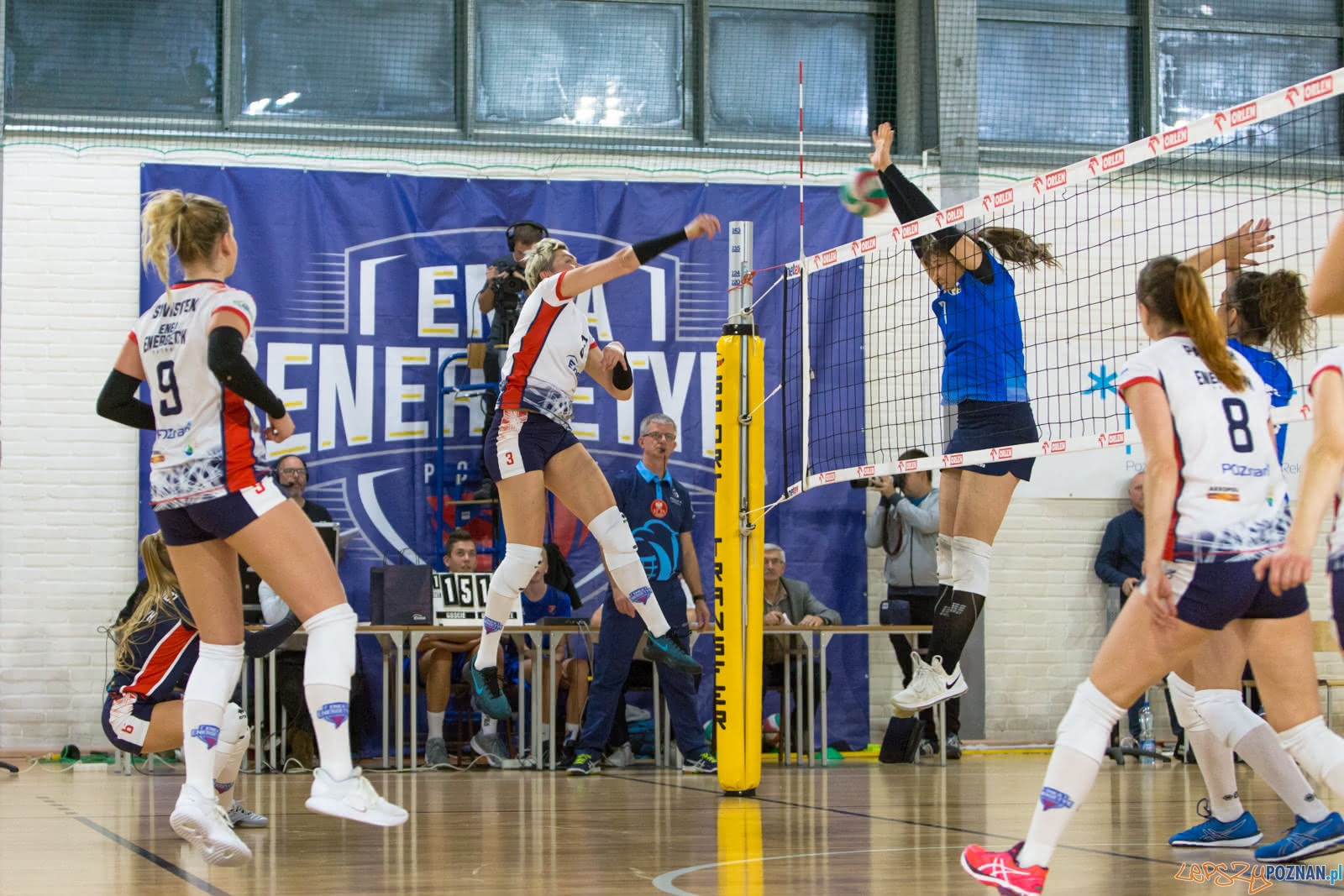 Enea Energetyk Poznań - MKS Dąbrowa Górnicza Foto: lepszyPOZNAN.pl/Piotr Rychter Enea Energetyk Poznań - MKS Dąbrowa Górnicza Foto: lepszyPOZNAN.pl/Piotr Rychter