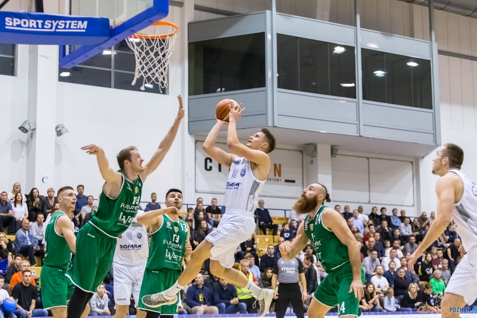 1 liga: Biofarm Basket Poznań - Śląsk Wrocław 70:79 - Pozna Foto: LepszyPOZNAN.pl / Paweł Rychter 1 liga: Biofarm Basket Poznań - Śląsk Wrocław 70:79 - Pozna Foto: LepszyPOZNAN.pl / Paweł Rychter