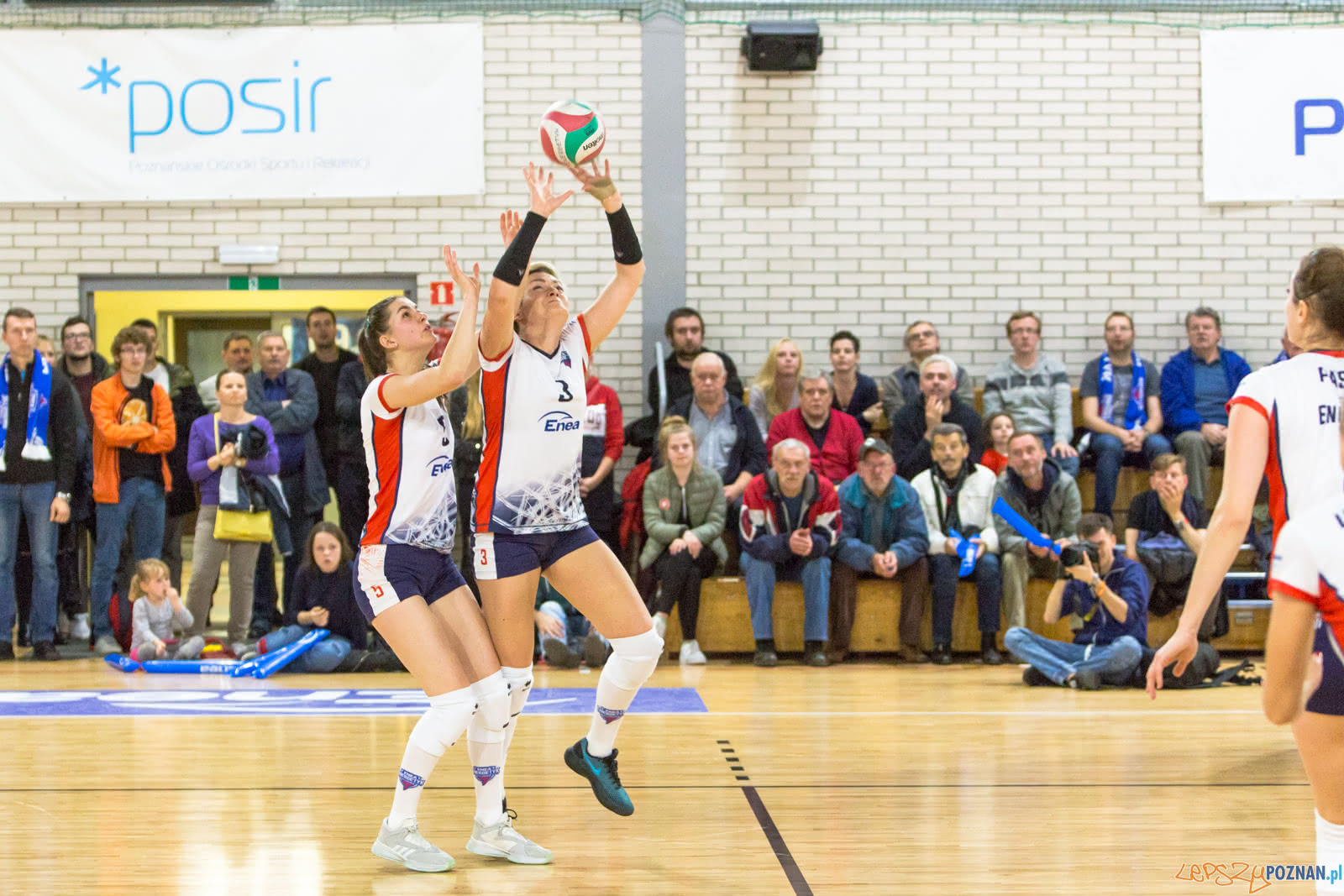 Enea Energetyk Poznań - MKS Dąbrowa Górnicza Foto: lepszyPOZNAN.pl/Piotr Rychter Enea Energetyk Poznań - MKS Dąbrowa Górnicza Foto: lepszyPOZNAN.pl/Piotr Rychter