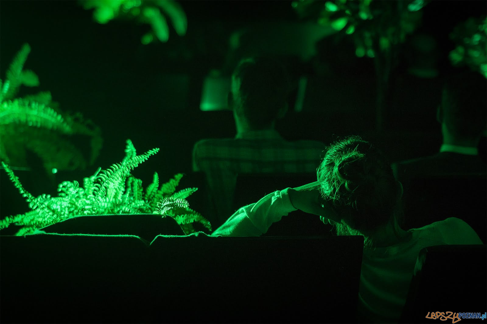 Sarna Festiwal Słuchowisk (2) Foto: materiały prasowe Sarna Festiwal Słuchowisk (2) Foto: materiały prasowe