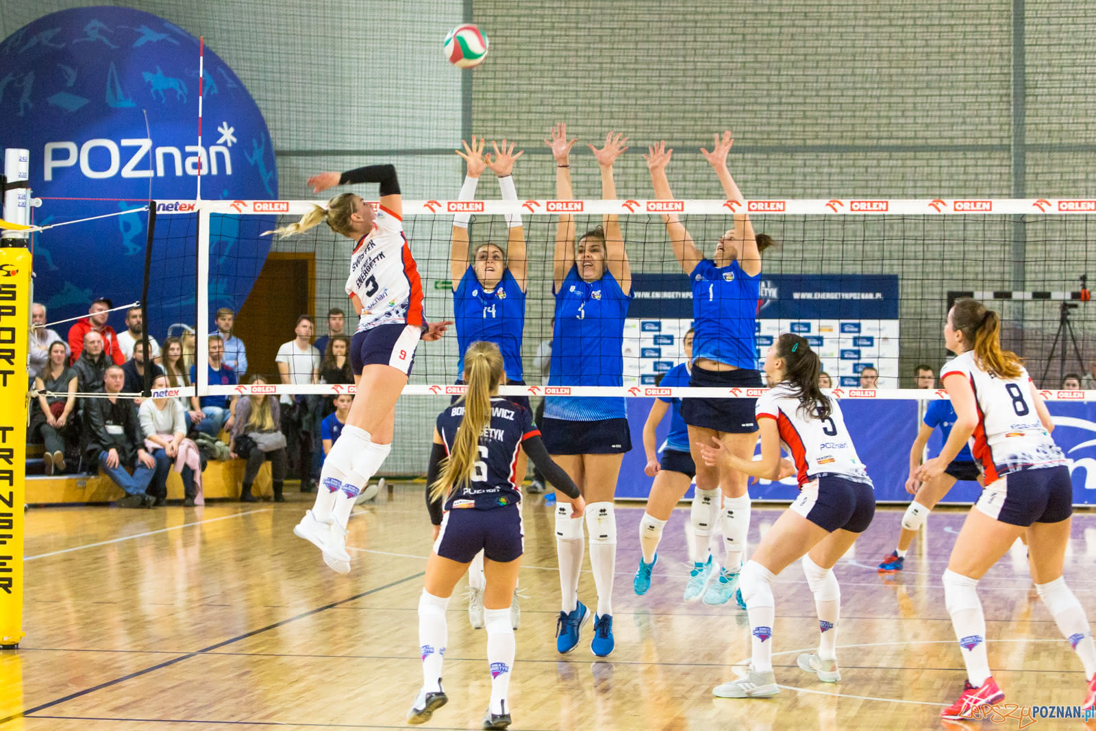 Enea Energetyk Poznań - MKS Dąbrowa Górnicza Foto: lepszyPOZNAN.pl/Piotr Rychter Enea Energetyk Poznań - MKS Dąbrowa Górnicza Foto: lepszyPOZNAN.pl/Piotr Rychter