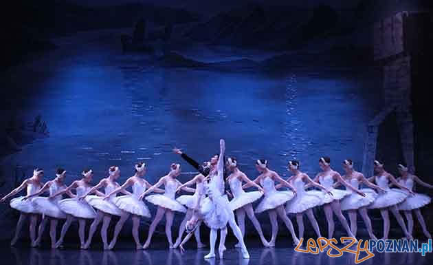 Moscow City Balet - Jezioro Łabędzie  Foto: materiały prasowe / makroconcert