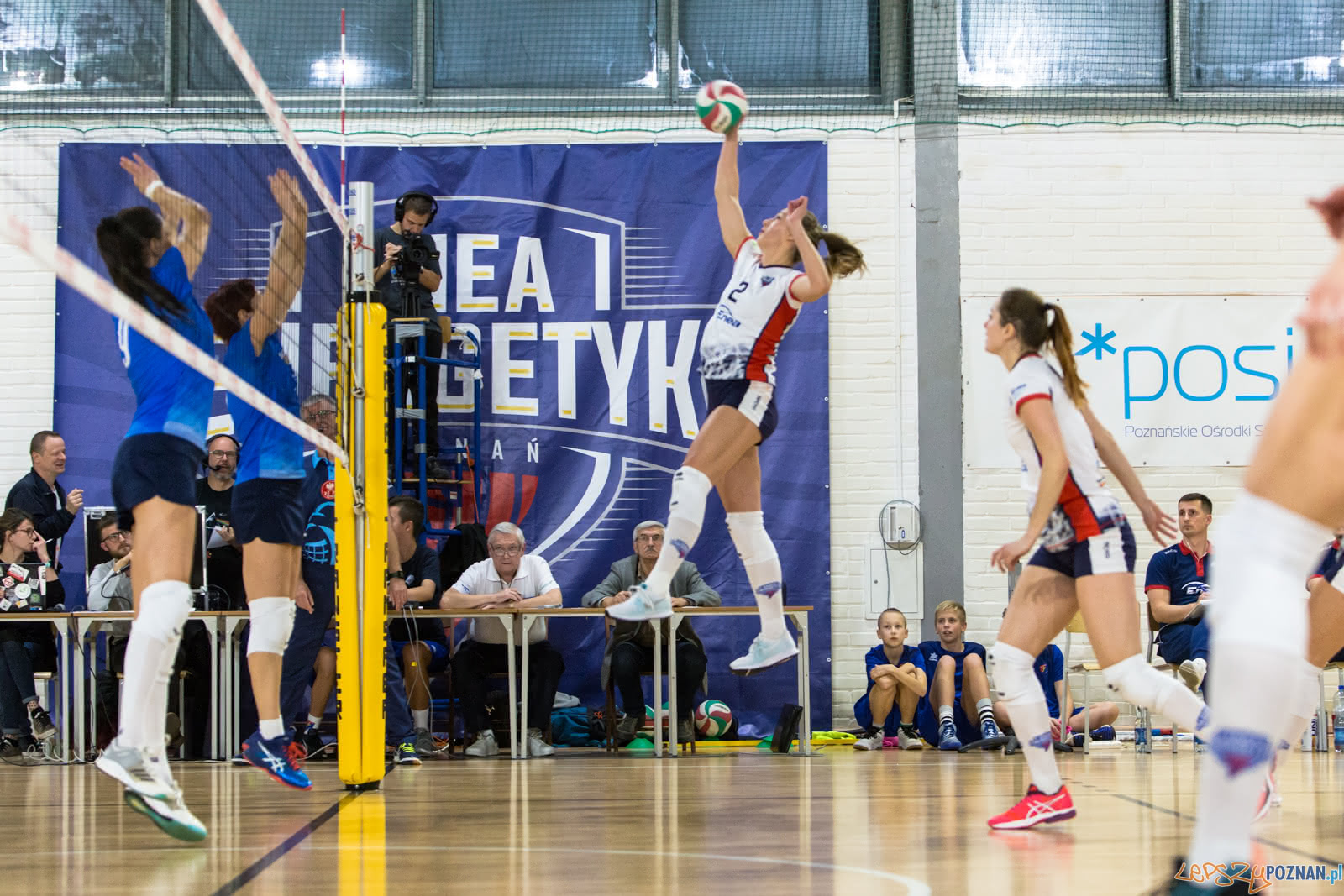 Enea Energetyk Poznań - MKS Dąbrowa Górnicza Foto: lepszyPOZNAN.pl/Piotr Rychter Enea Energetyk Poznań - MKS Dąbrowa Górnicza Foto: lepszyPOZNAN.pl/Piotr Rychter