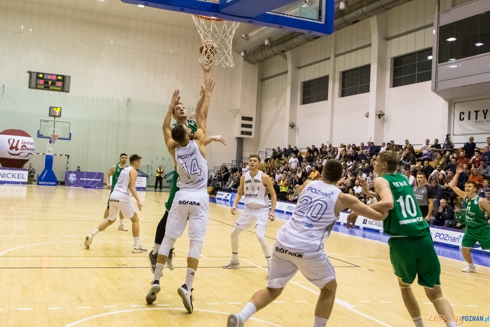 1 liga: Biofarm Basket Poznań - Śląsk Wrocław 70:79 - Pozna Foto: LepszyPOZNAN.pl / Paweł Rychter 1 liga: Biofarm Basket Poznań - Śląsk Wrocław 70:79 - Pozna Foto: LepszyPOZNAN.pl / Paweł Rychter