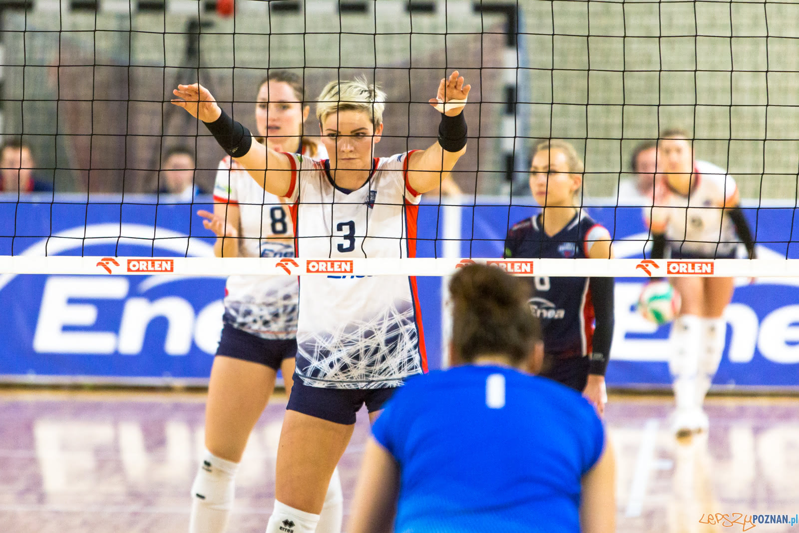 Enea Energetyk Poznań - MKS Dąbrowa Górnicza Foto: lepszyPOZNAN.pl/Piotr Rychter Enea Energetyk Poznań - MKS Dąbrowa Górnicza Foto: lepszyPOZNAN.pl/Piotr Rychter