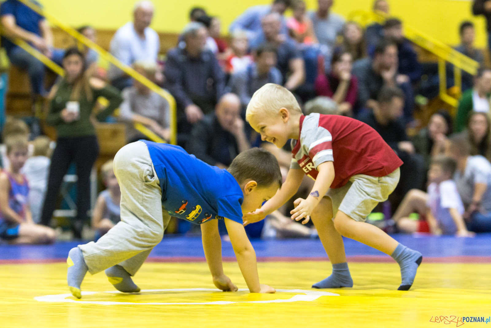 Turniej W Mocowaniu Dla Dzieci Foto: lepszyPOZNAN.pl/Piotr Rychter Turniej W Mocowaniu Dla Dzieci Foto: lepszyPOZNAN.pl/Piotr Rychter