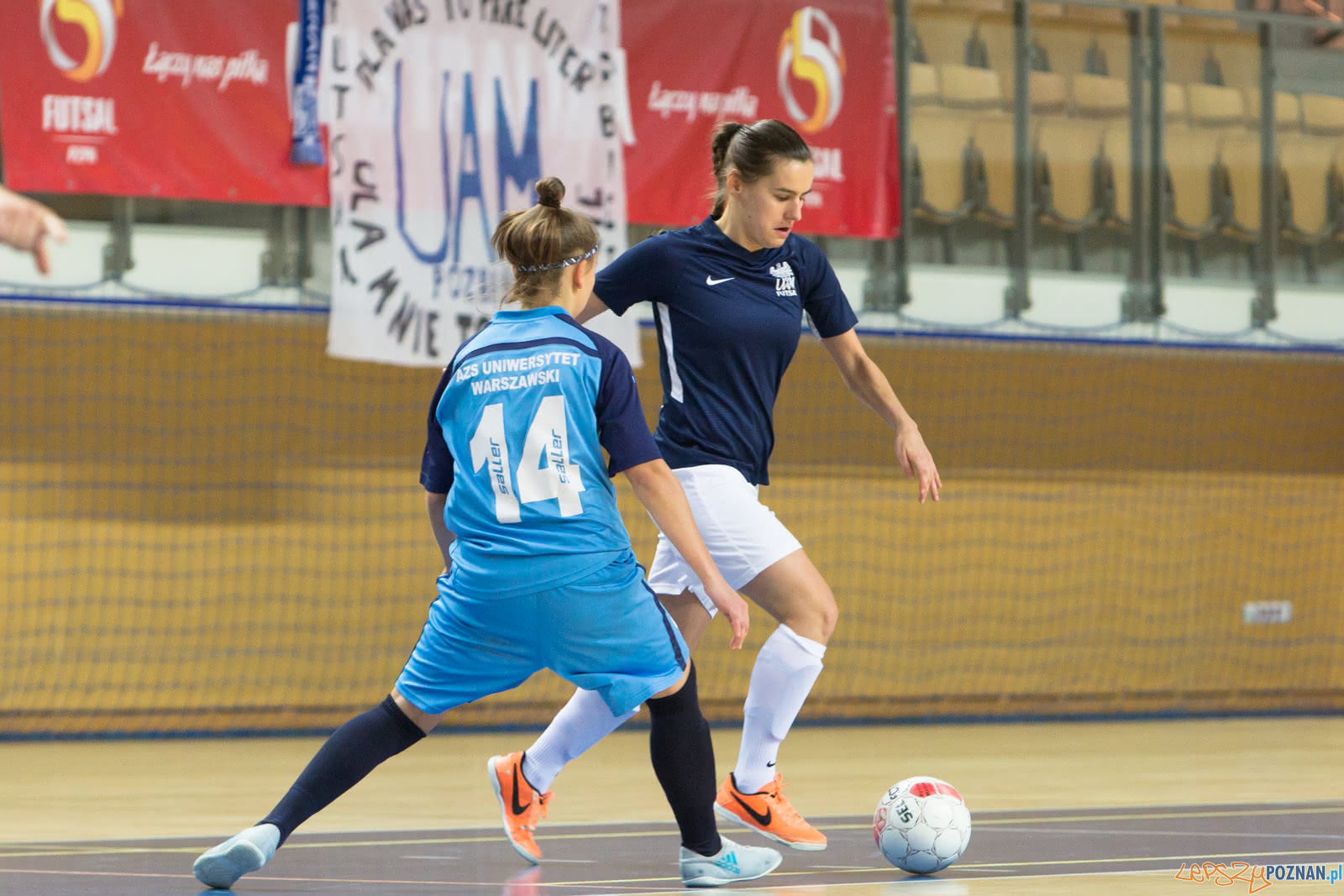 AZS UAM Poznań - AZS Uniwersytet Warszawski Foto: lepszyPOZNAN.pl/Piotr Rychter AZS UAM Poznań - AZS Uniwersytet Warszawski Foto: lepszyPOZNAN.pl/Piotr Rychter
