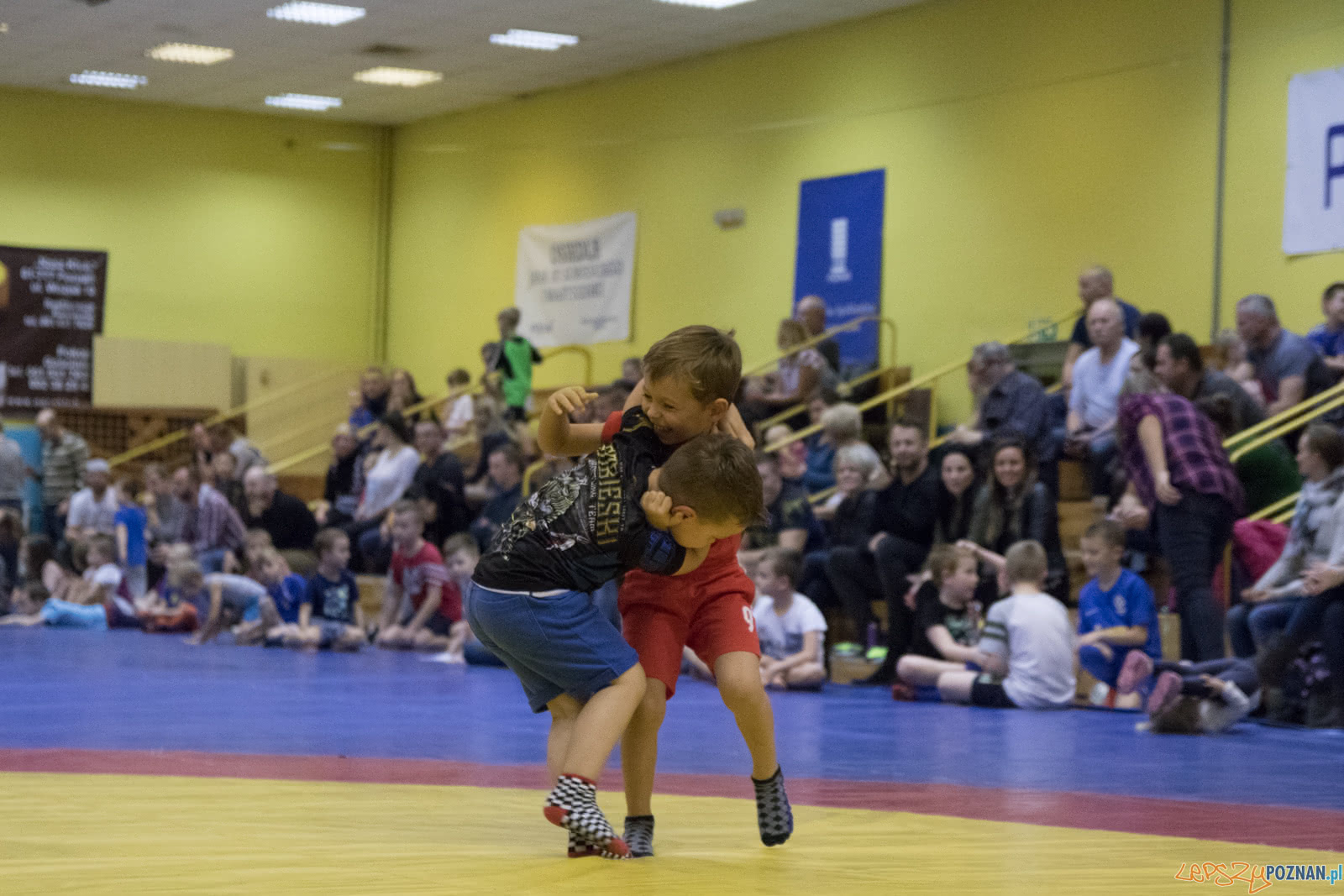 Turniej w mocowaniu dla dzieci Foto: lepszyPOZNAN.pl / Ewelina Jaśkowiak Turniej w mocowaniu dla dzieci Foto: lepszyPOZNAN.pl / Ewelina Jaśkowiak