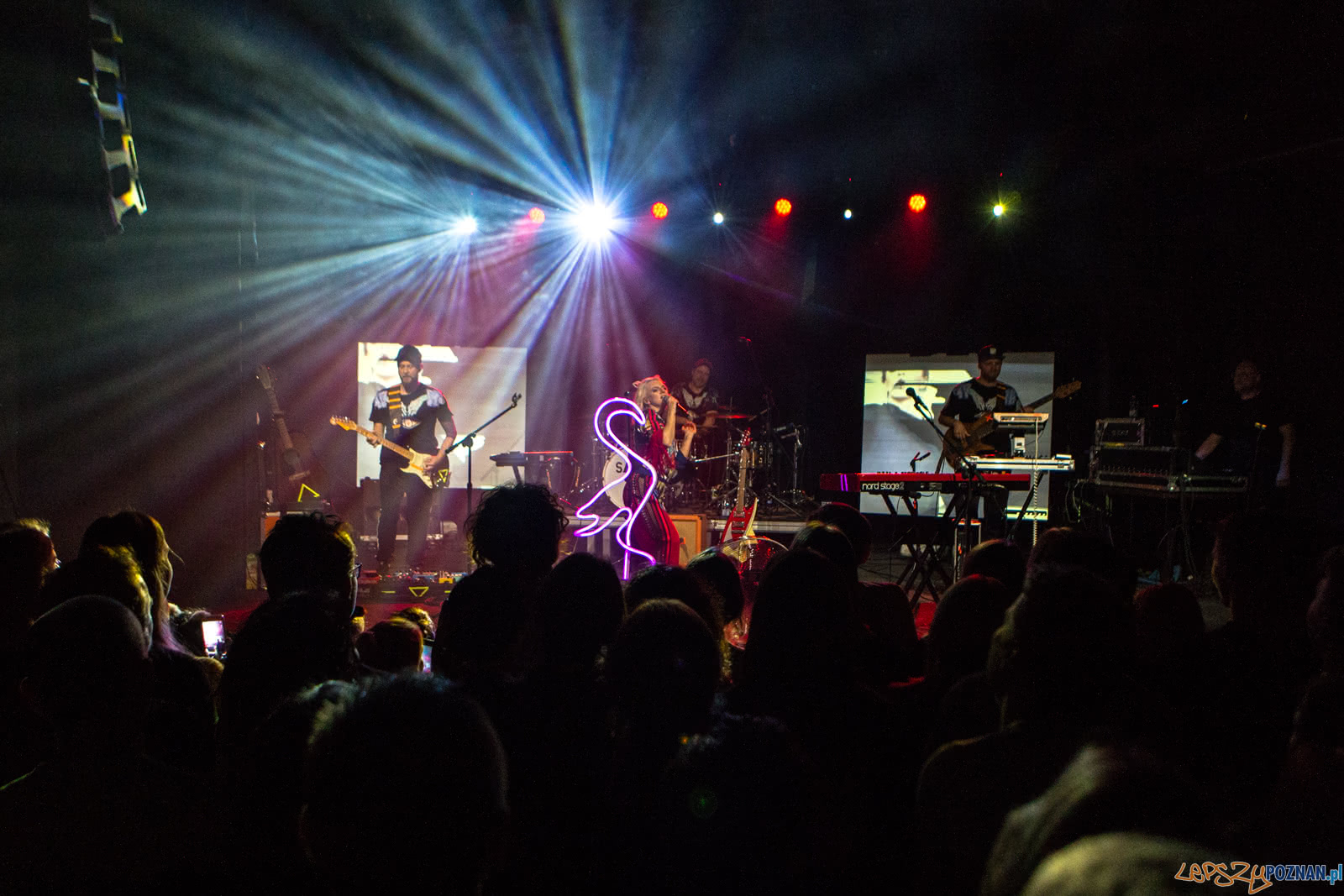 Sarsa w B17 - Poznań 16.11.2018 r. Foto: LepszyPOZNAN.pl / Paweł Rychter Sarsa w B17 - Poznań 16.11.2018 r. Foto: LepszyPOZNAN.pl / Paweł Rychter