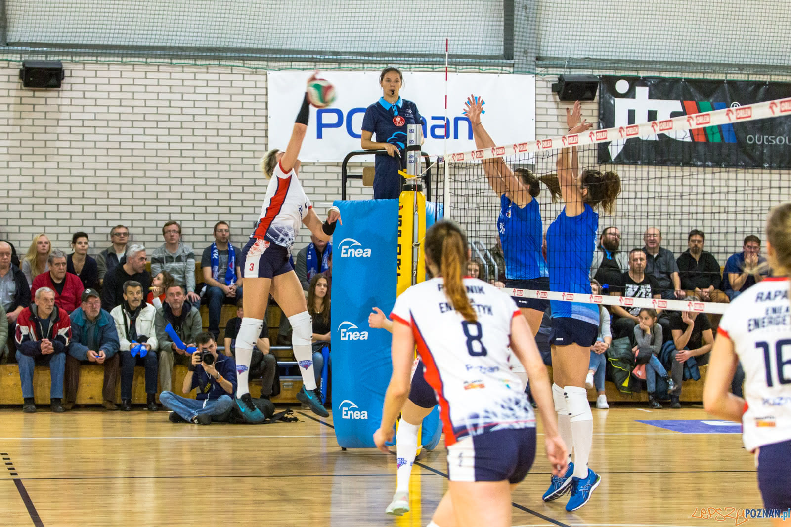 Enea Energetyk Poznań - MKS Dąbrowa Górnicza Foto: lepszyPOZNAN.pl/Piotr Rychter Enea Energetyk Poznań - MKS Dąbrowa Górnicza Foto: lepszyPOZNAN.pl/Piotr Rychter