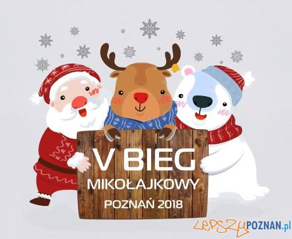 Bieg Mikolajkowy Foto: materiały prasowe Bieg Mikolajkowy Foto: materiały prasowe