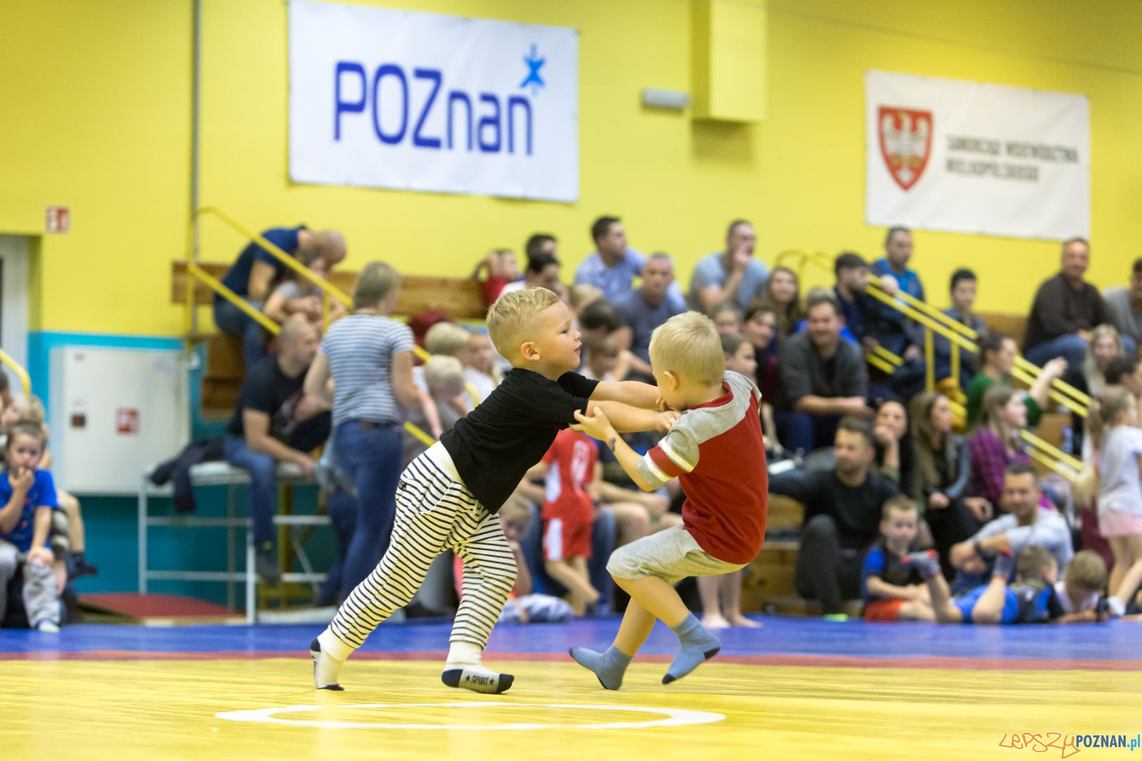 Turniej W Mocowaniu Dla Dzieci Foto: lepszyPOZNAN.pl/Piotr Rychter Turniej W Mocowaniu Dla Dzieci Foto: lepszyPOZNAN.pl/Piotr Rychter