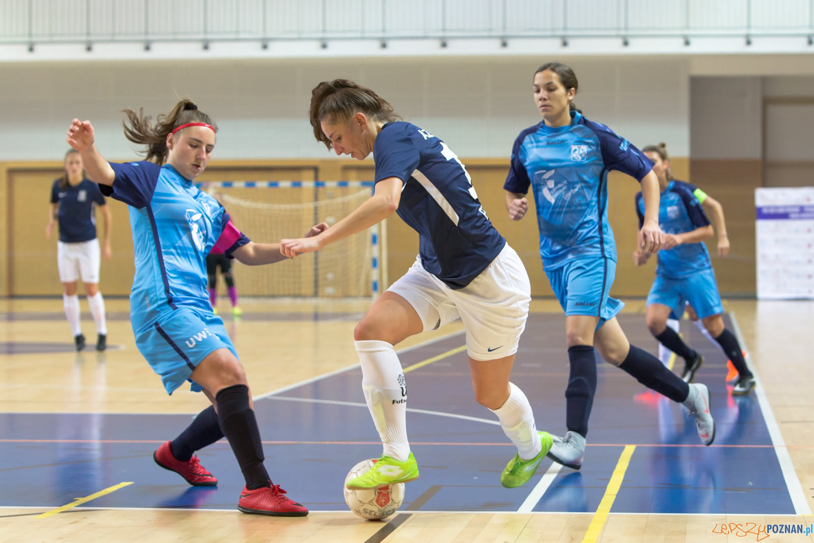 AZS UAM Poznań - AZS Uniwersytet Warszawski Foto: lepszyPOZNAN.pl/Piotr Rychter AZS UAM Poznań - AZS Uniwersytet Warszawski Foto: lepszyPOZNAN.pl/Piotr Rychter