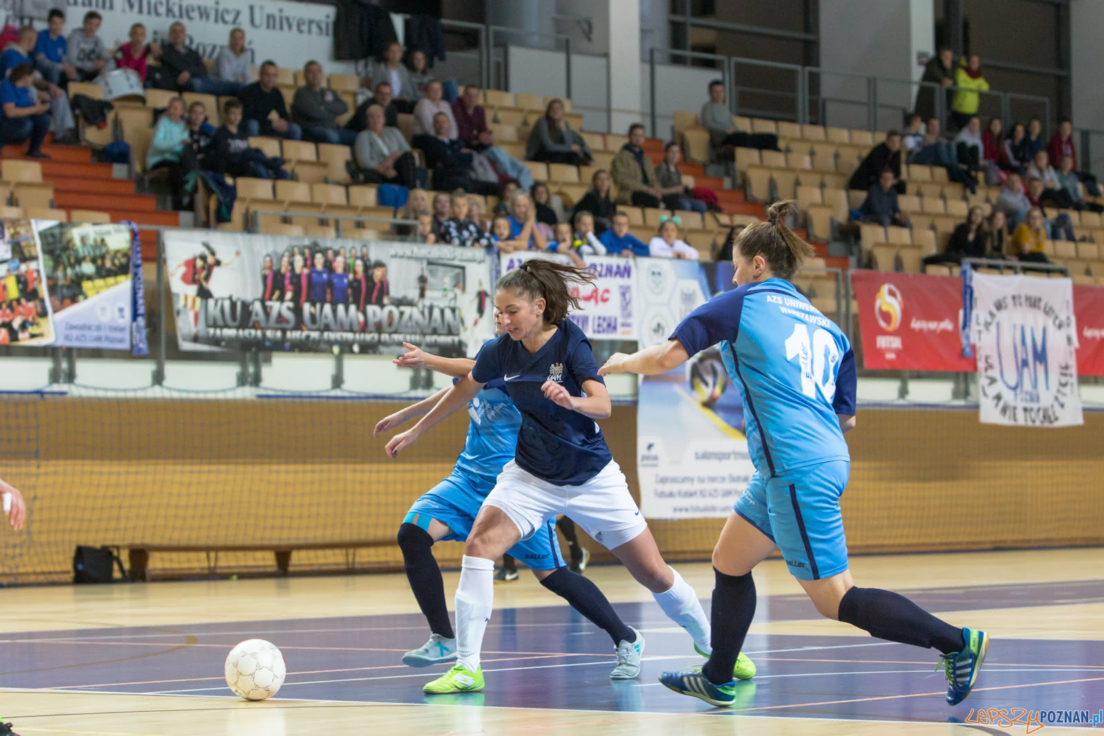AZS UAM Poznań - AZS Uniwersytet Warszawski Foto: lepszyPOZNAN.pl/Piotr Rychter AZS UAM Poznań - AZS Uniwersytet Warszawski Foto: lepszyPOZNAN.pl/Piotr Rychter