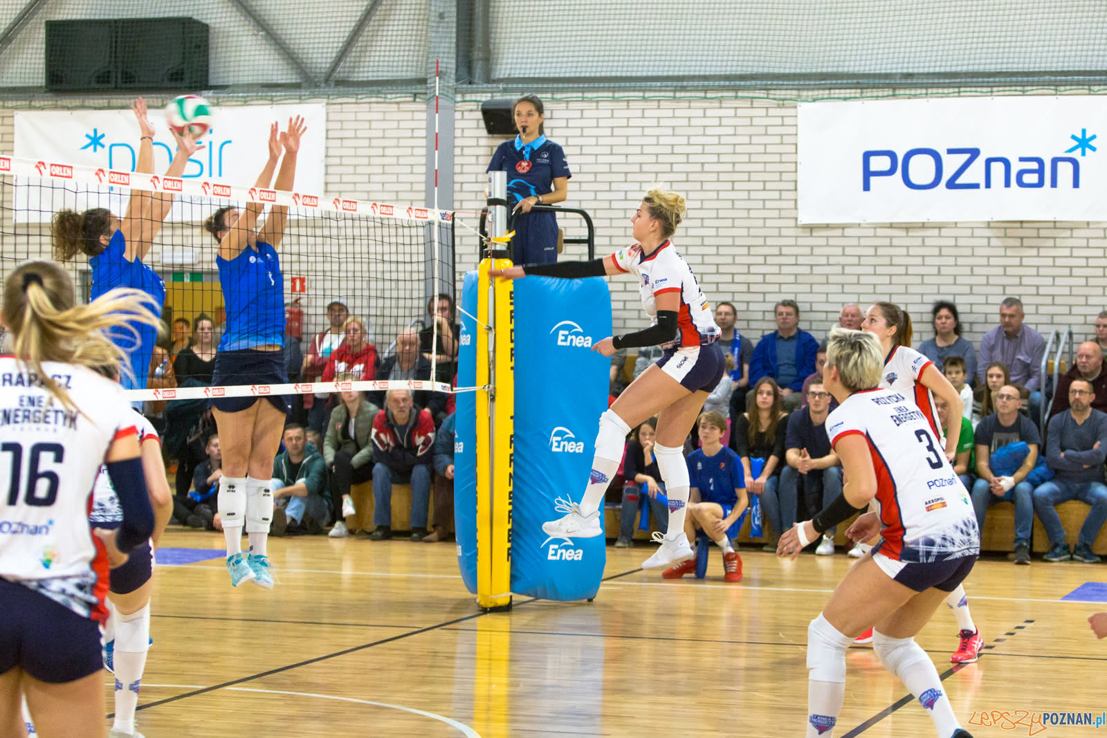 Enea Energetyk Poznań - MKS Dąbrowa Górnicza Foto: lepszyPOZNAN.pl/Piotr Rychter Enea Energetyk Poznań - MKS Dąbrowa Górnicza Foto: lepszyPOZNAN.pl/Piotr Rychter