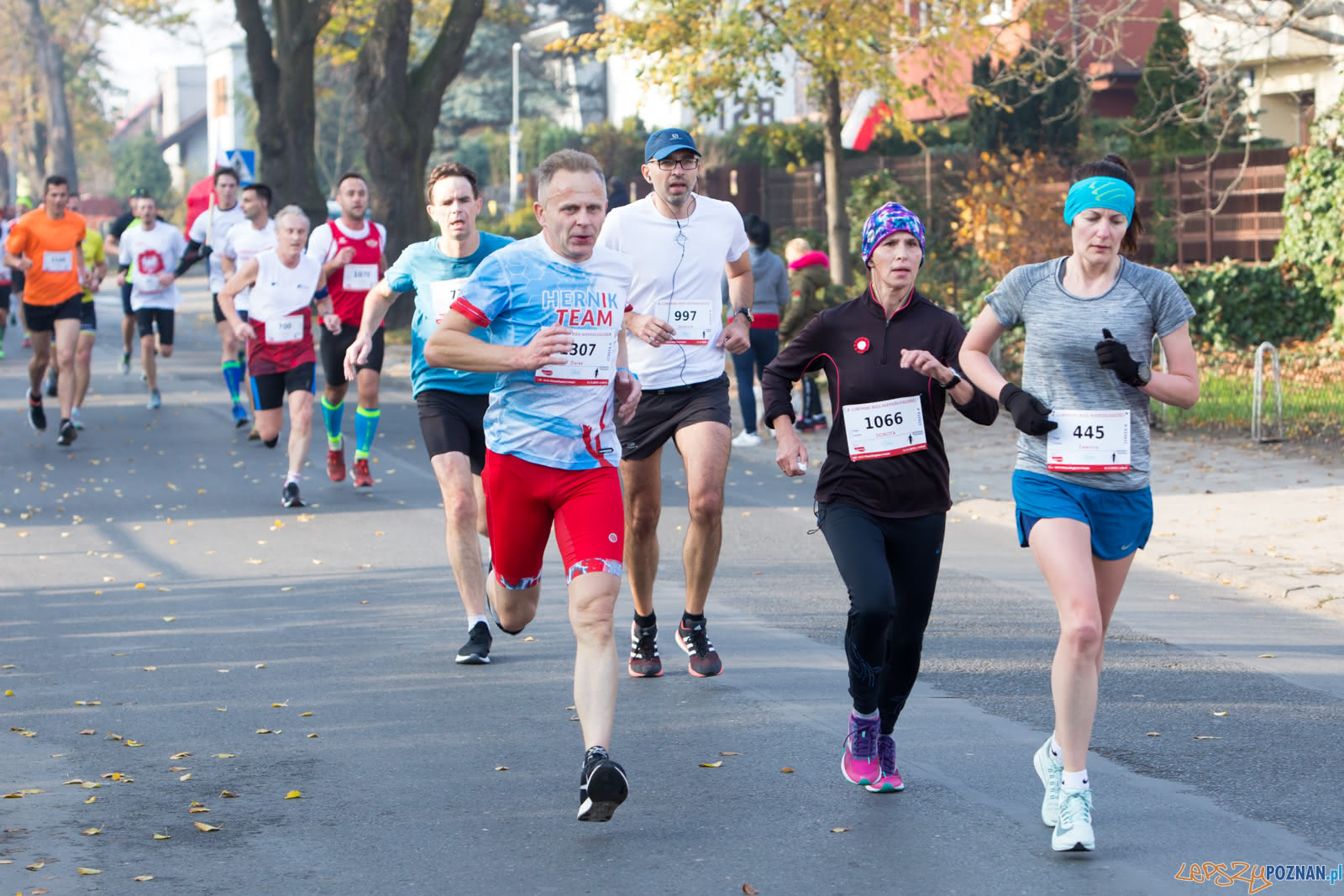 8. Lubonski Bieg Niepodleglosci Foto: lepszyPOZNAN.pl/Piotr Rychter 8. Lubonski Bieg Niepodleglosci Foto: lepszyPOZNAN.pl/Piotr Rychter