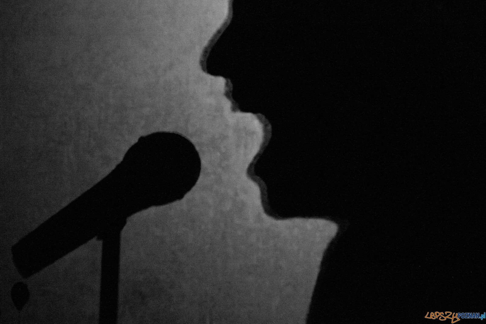 Frazy Festiwal słowa w piosence Foto: lepszyPOZNAN.pl / Ewelina Jaśkowiak Frazy Festiwal słowa w piosence Foto: lepszyPOZNAN.pl / Ewelina Jaśkowiak