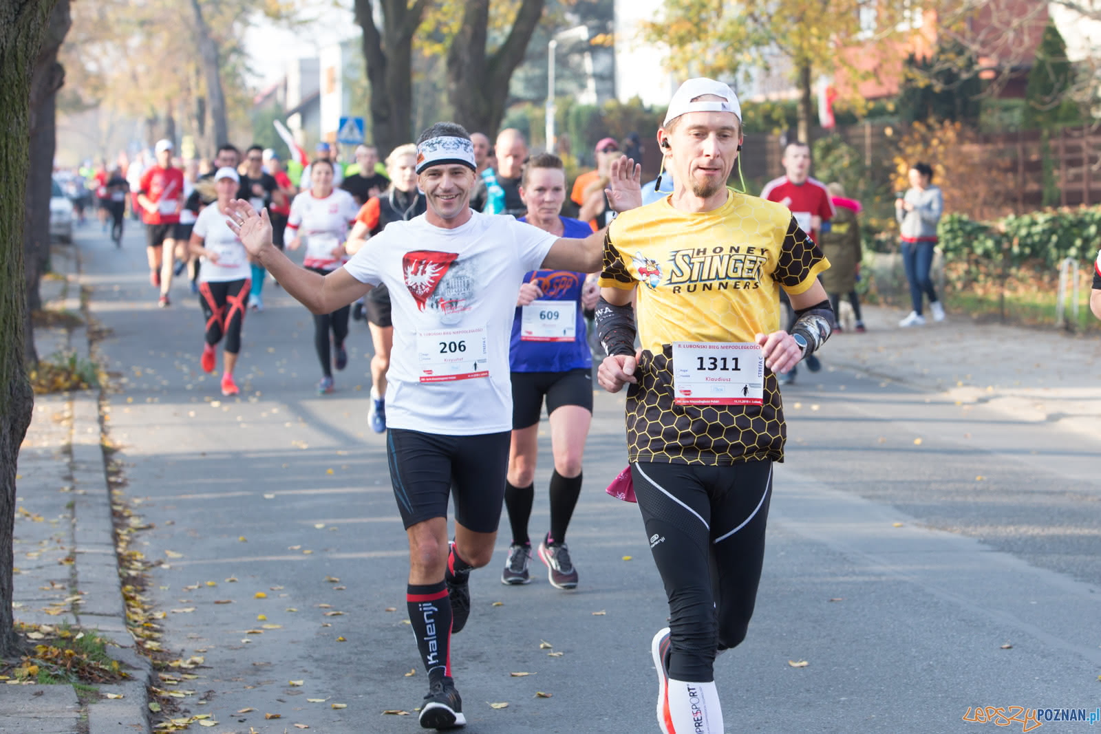 8. Lubonski Bieg Niepodleglosci Foto: lepszyPOZNAN.pl/Piotr Rychter 8. Lubonski Bieg Niepodleglosci Foto: lepszyPOZNAN.pl/Piotr Rychter
