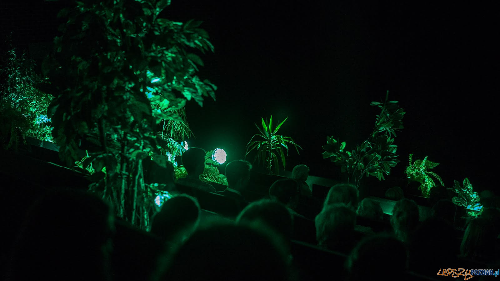 Sarna Festiwal Słuchowisk (1) Foto: materiały prasowe Sarna Festiwal Słuchowisk (1) Foto: materiały prasowe