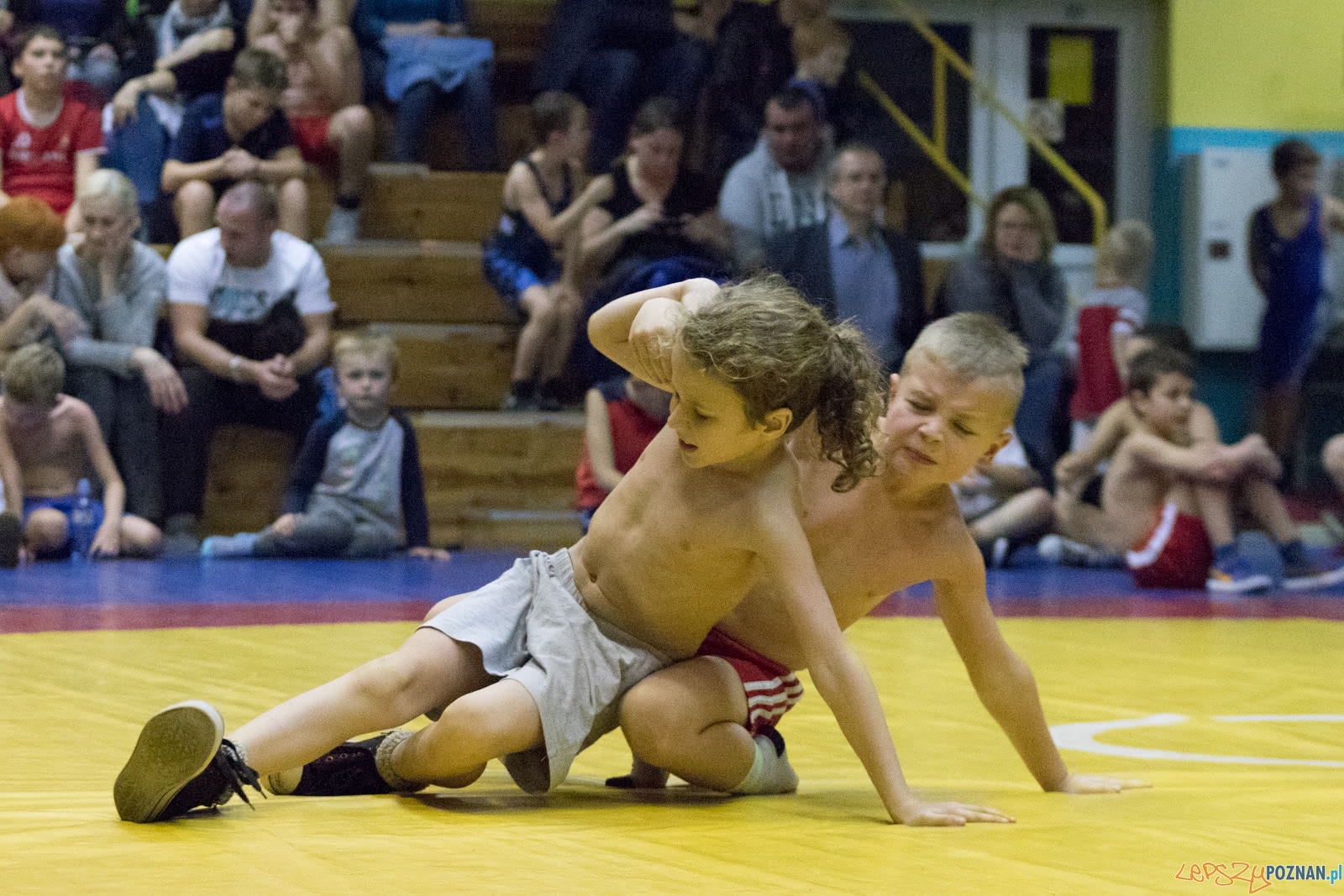 Turniej w mocowaniu dla dzieci Foto: lepszyPOZNAN.pl / Ewelina Jaśkowiak Turniej w mocowaniu dla dzieci Foto: lepszyPOZNAN.pl / Ewelina Jaśkowiak